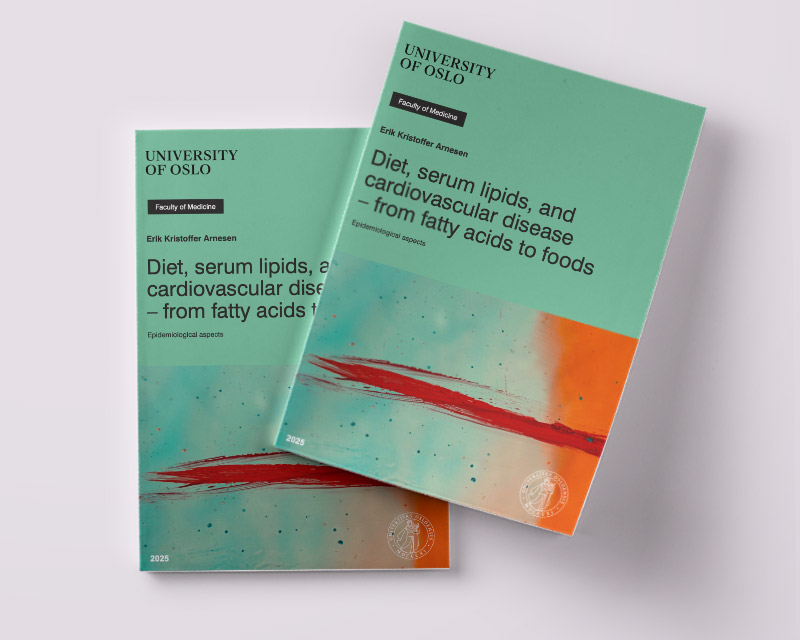 Avhandlingen til Erik Arnesen