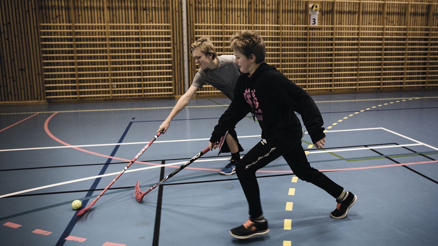 To allergiske brødre, spiller bandy