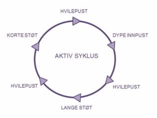 Aktiv syklus