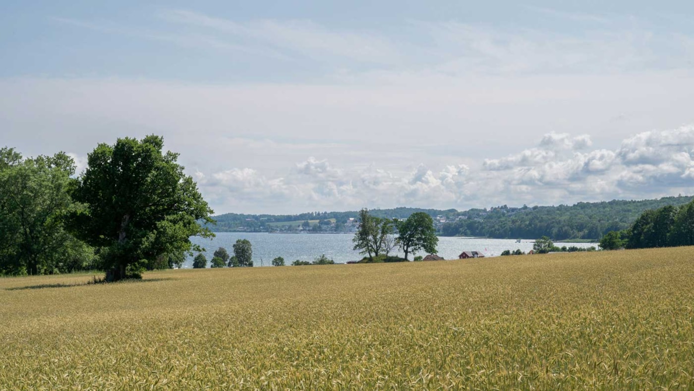 Bilde fra Vestfold, Horten, Borre