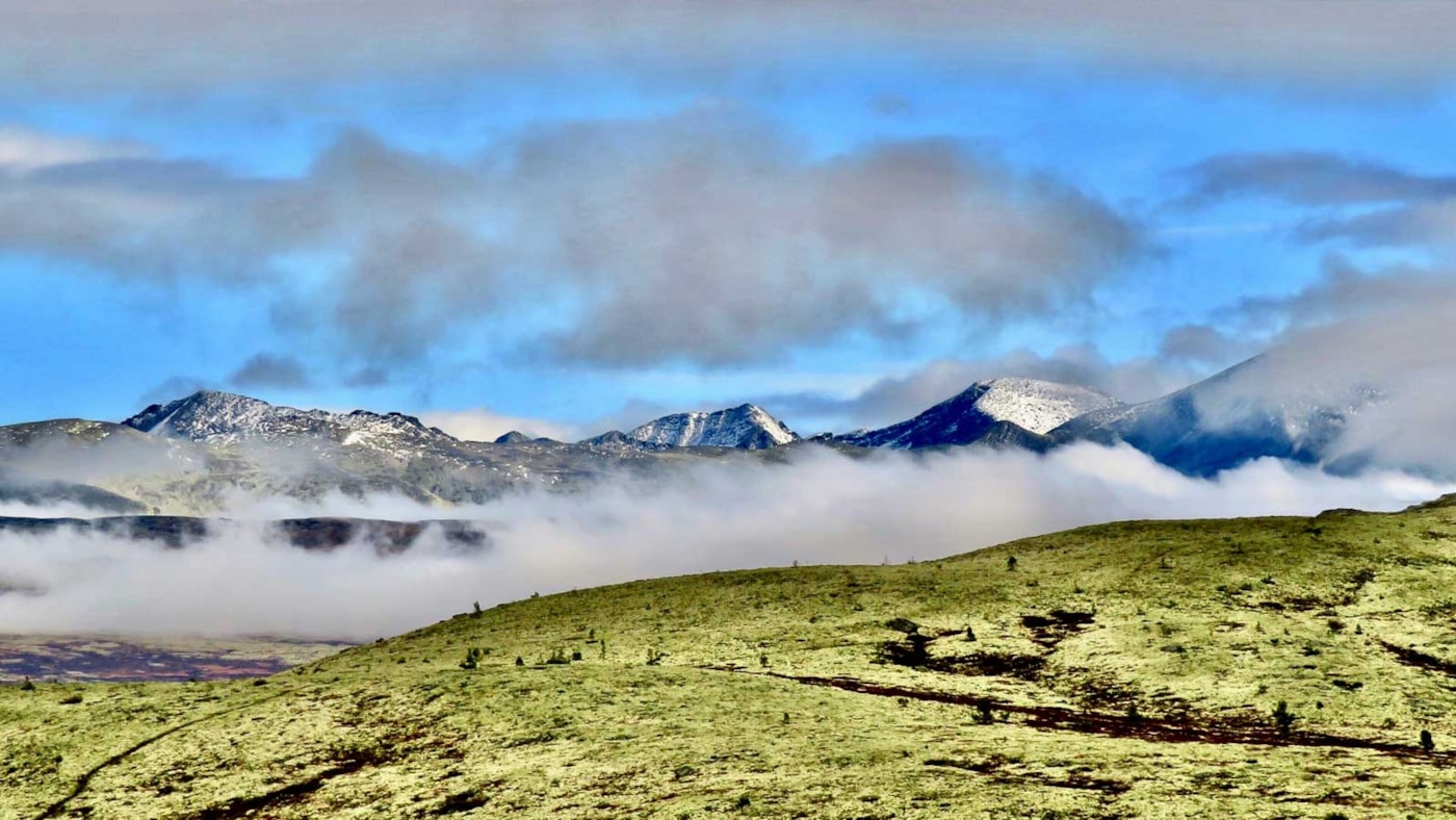 Bilde fra Innlandet, Rondane