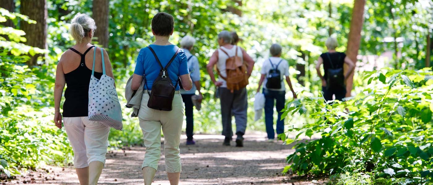 Gruppe mennesker på tur sammen i skog